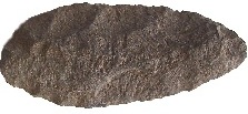 bf1